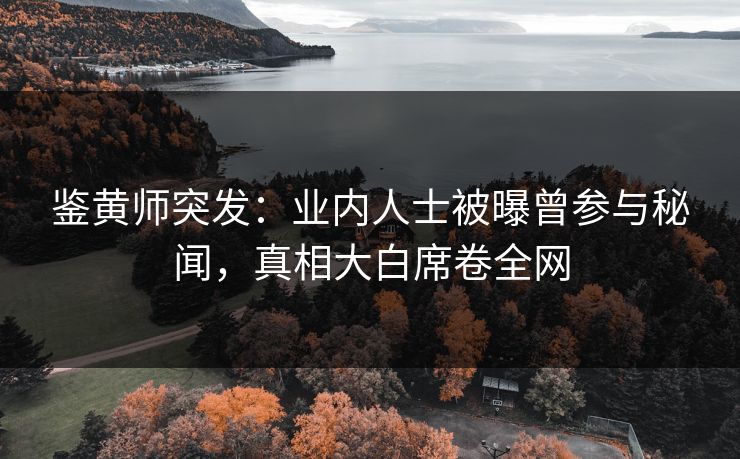 鉴黄师突发：业内人士被曝曾参与秘闻，真相大白席卷全网
