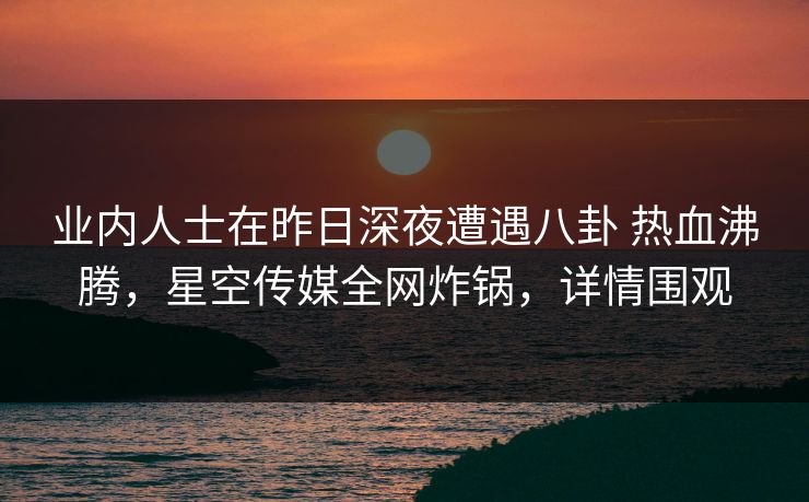 业内人士在昨日深夜遭遇八卦 热血沸腾，星空传媒全网炸锅，详情围观