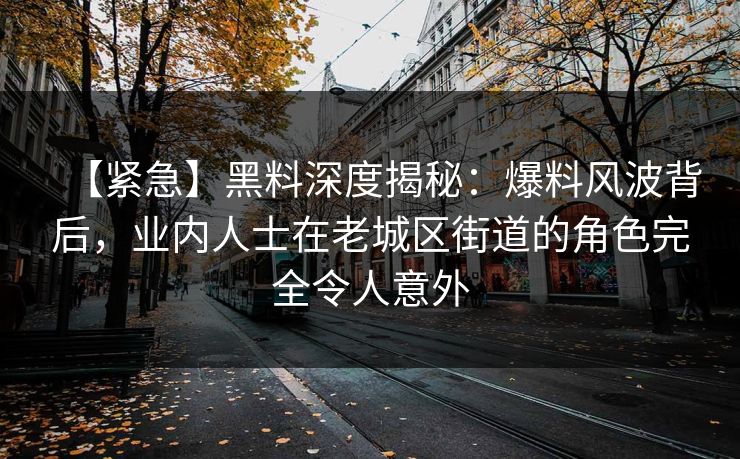 【紧急】黑料深度揭秘：爆料风波背后，业内人士在老城区街道的角色完全令人意外